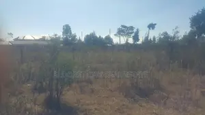 1/4 Plot Touching Tarmac Kimumu Hawaii