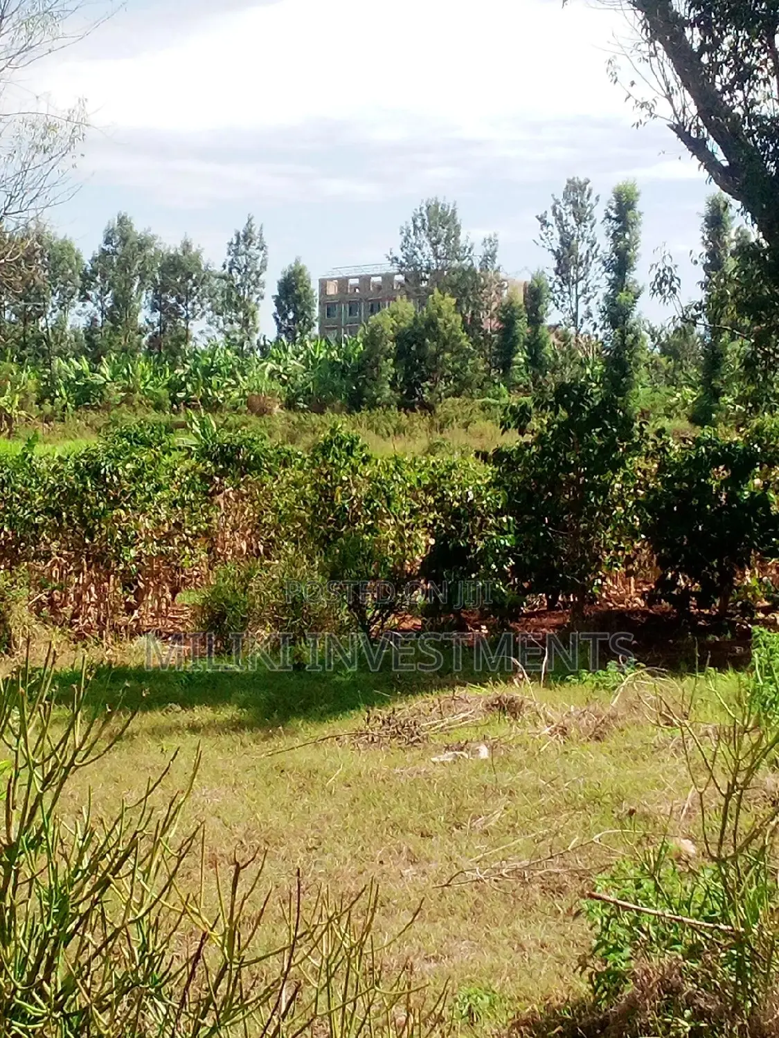 50 by 80 Plot for Sale at Kenol