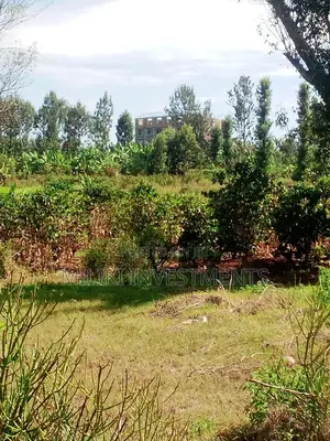 50 by 80 Plot for Sale at Kenol