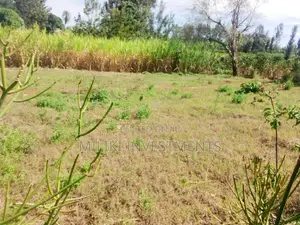 50 by 80 Plot for Sale at Kenol