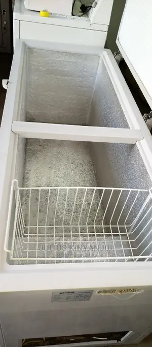 Double Door Freezer