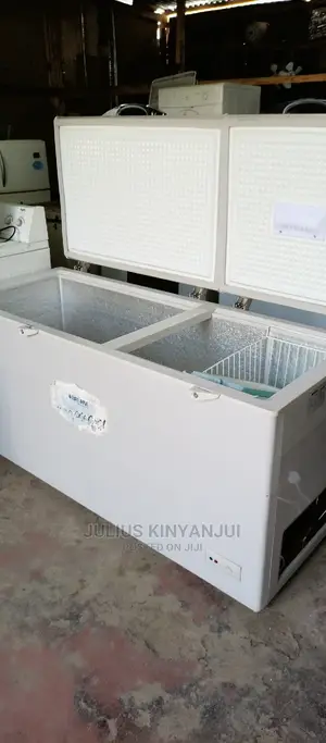 Double Door Freezer