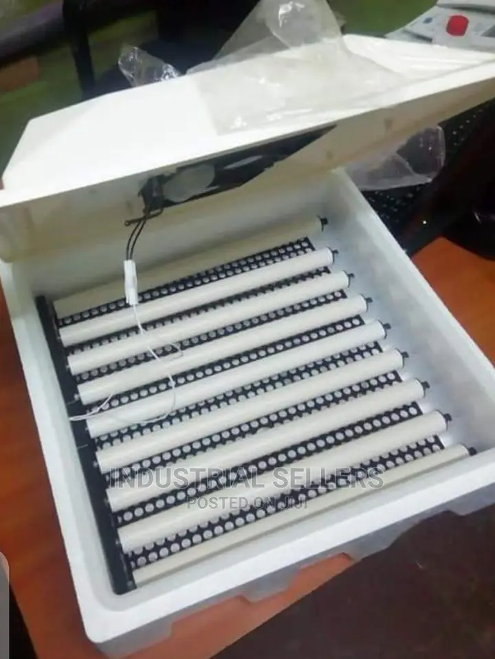 An Advanced 56 Egg Automatic Incubator