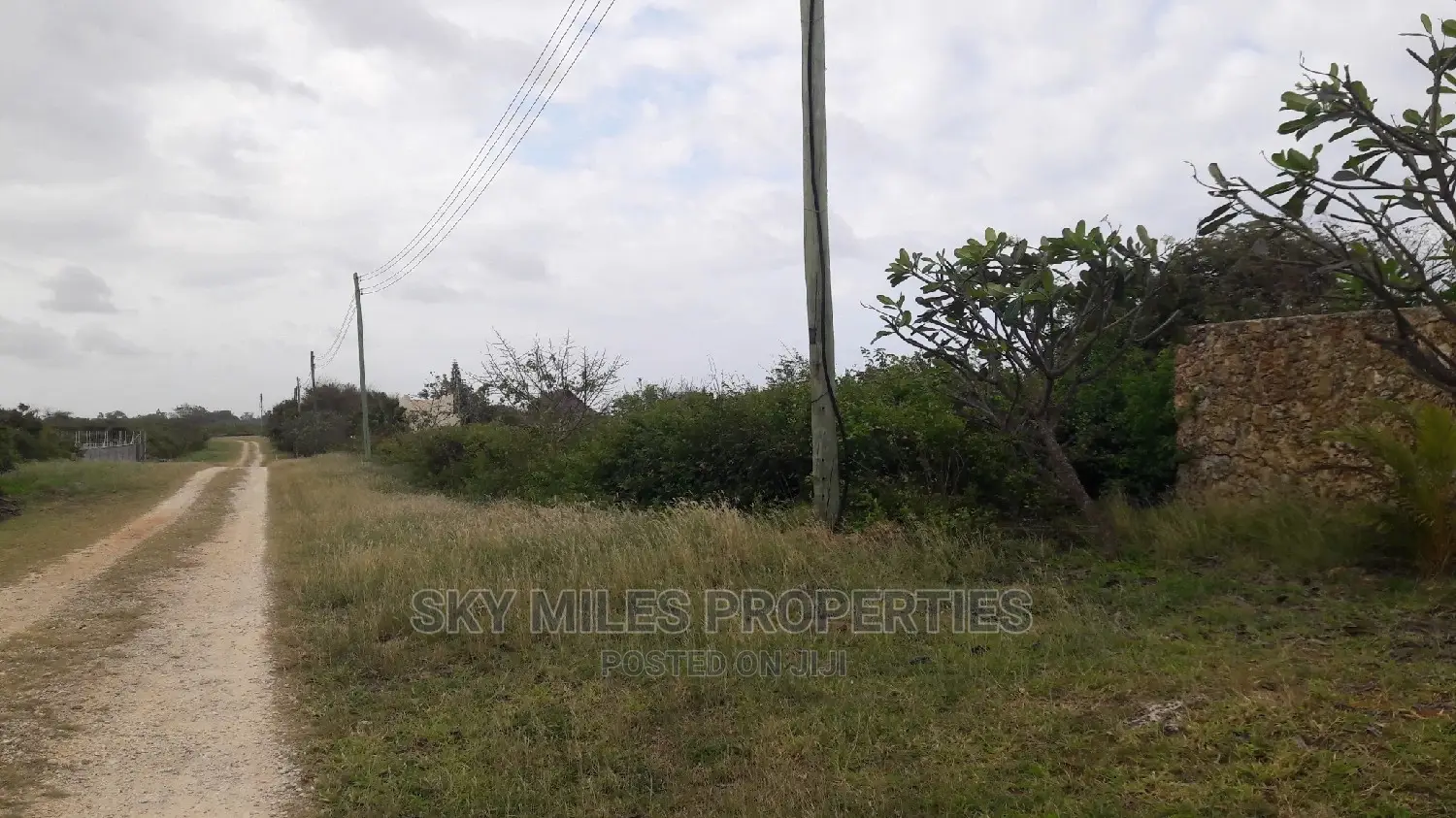 Beach Plot on Sale Vipingo