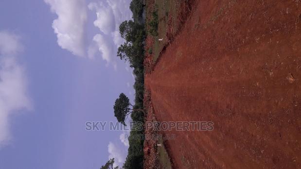 Kuruwitu Plots on Sale - thumbnail 4