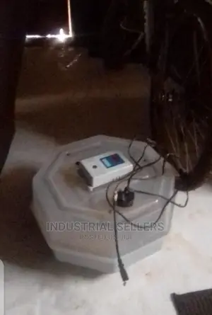 Advanced 60 Egg Incubator Machine