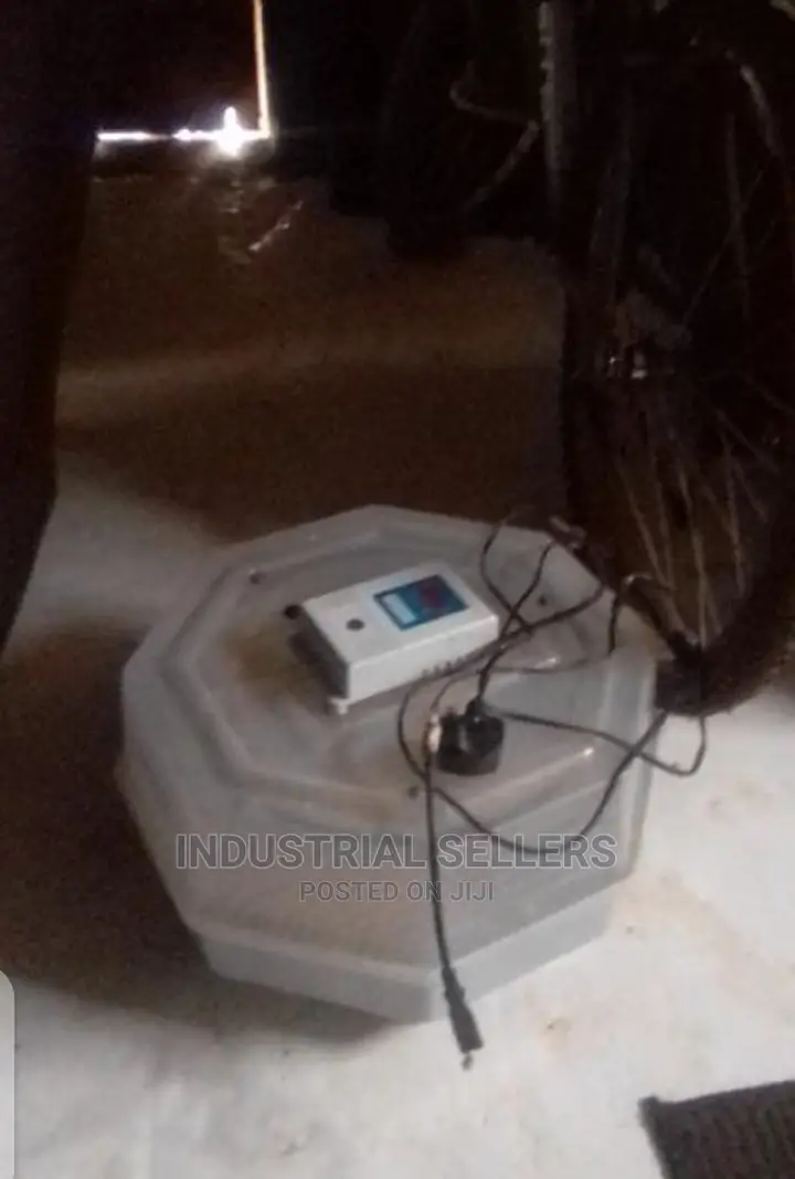 Advanced 60 Egg Incubator Machine