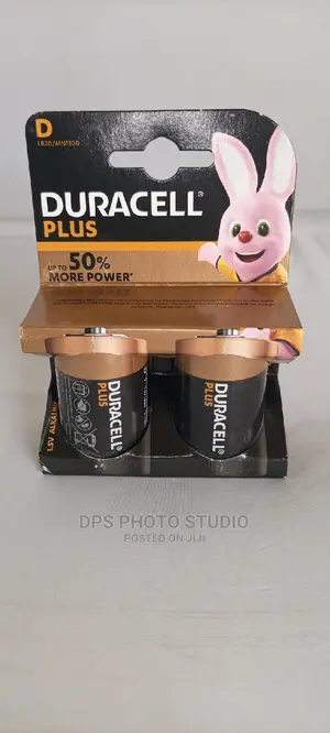 Duracell Size D 1.5v