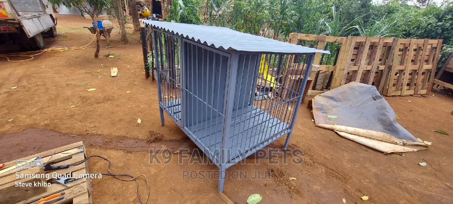 Assorted Dog Cages