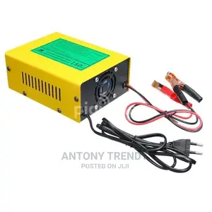 Universal Electric Quick Car Battery Charger