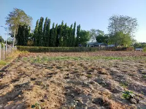 Plots on Sale Mtwapa