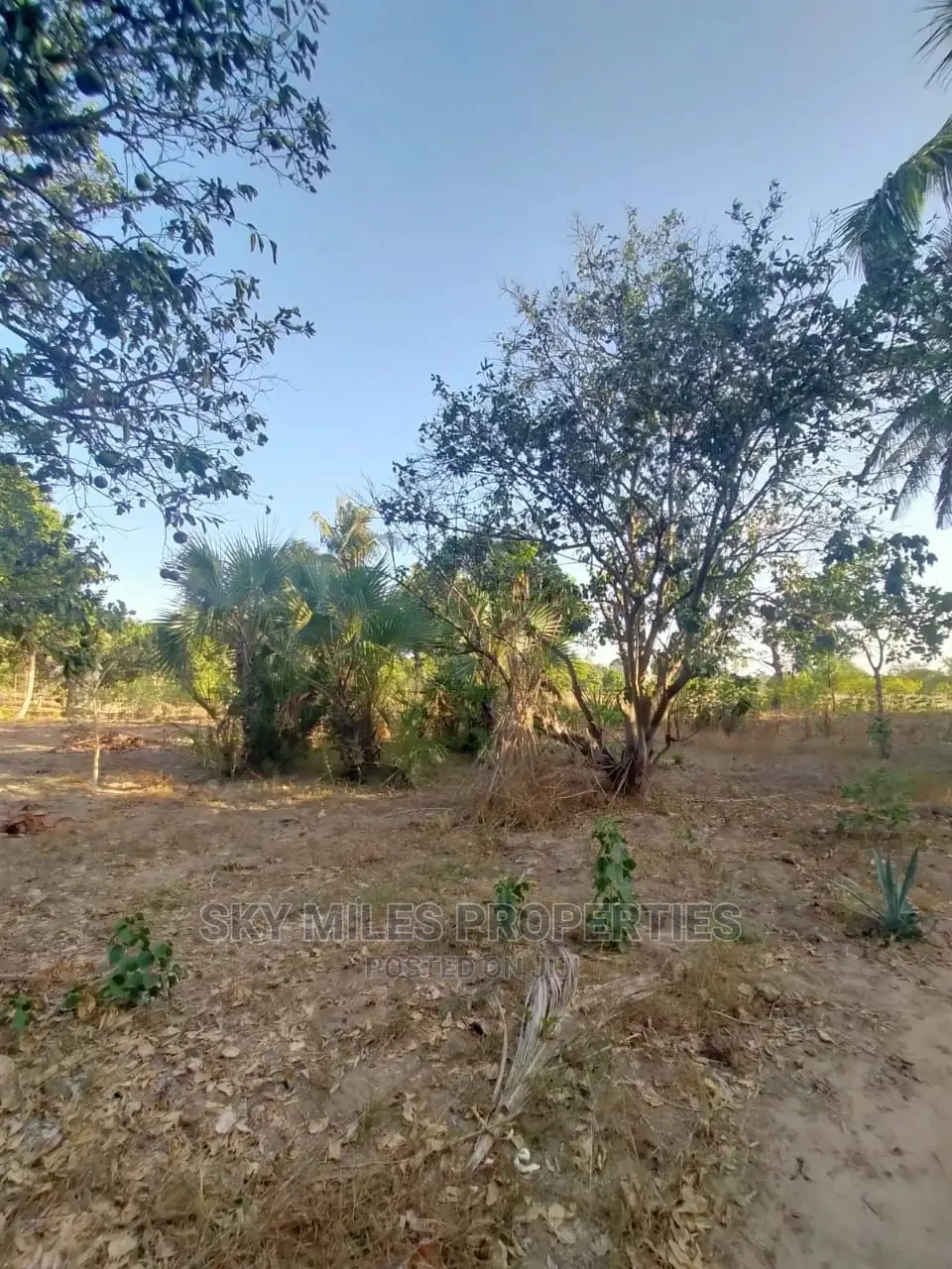 Plots on Sale Mtwapa