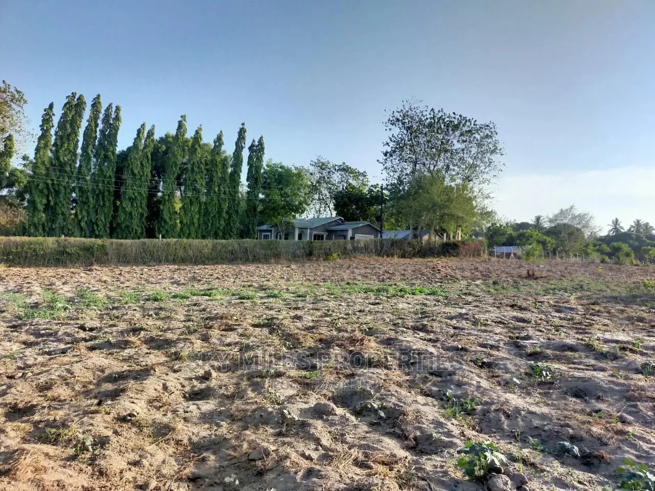Plots on Sale Mtwapa