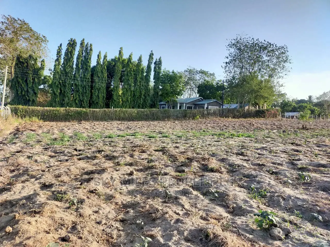 Plots on Sale Mtwapa