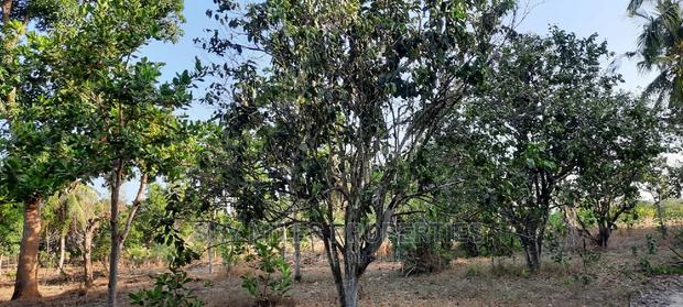 Half Acre on Sale Mtwapa - main view