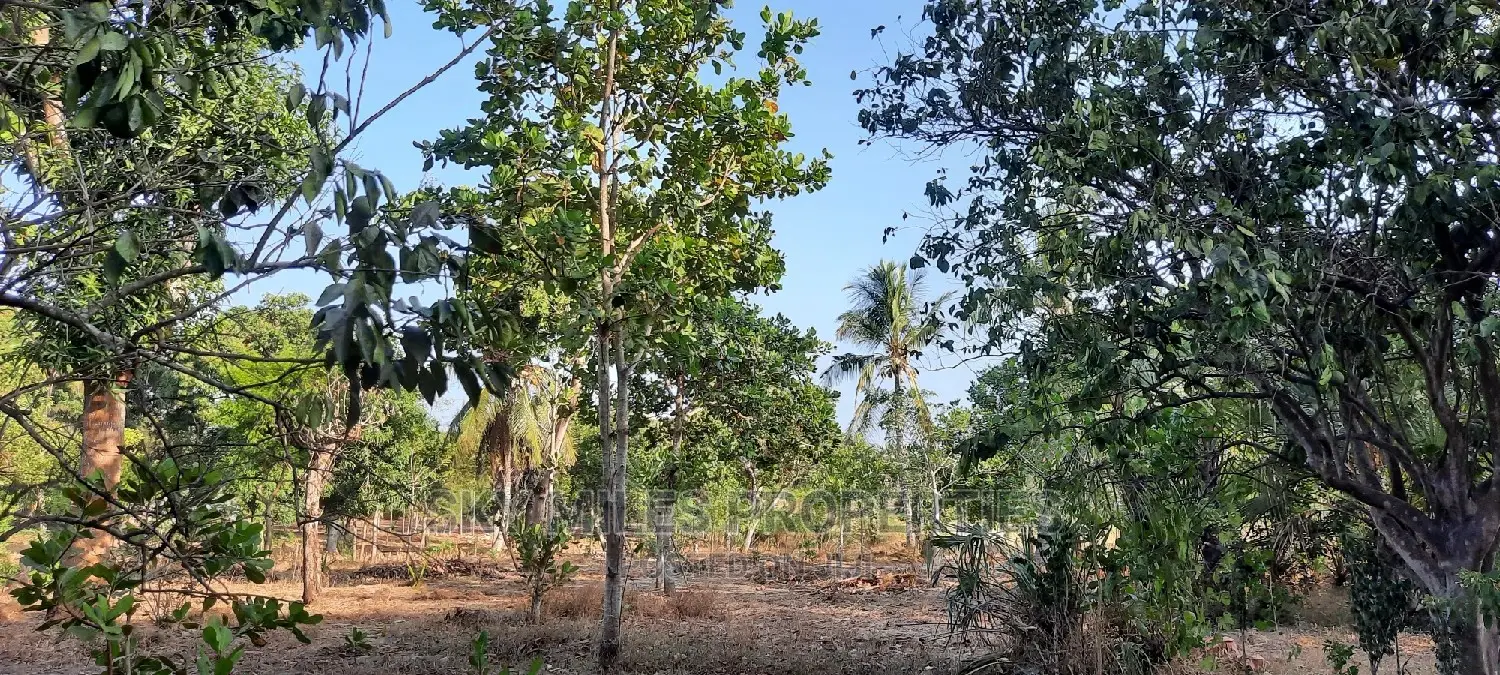 Half Acre on Sale Mtwapa