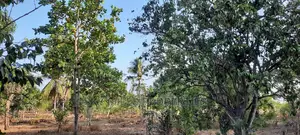 Half Acre on Sale Mtwapa