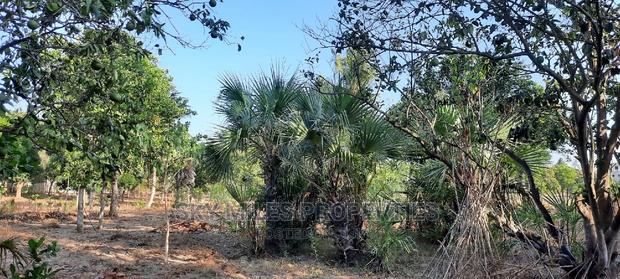 Half Acre on Sale Mtwapa - thumbnail 5