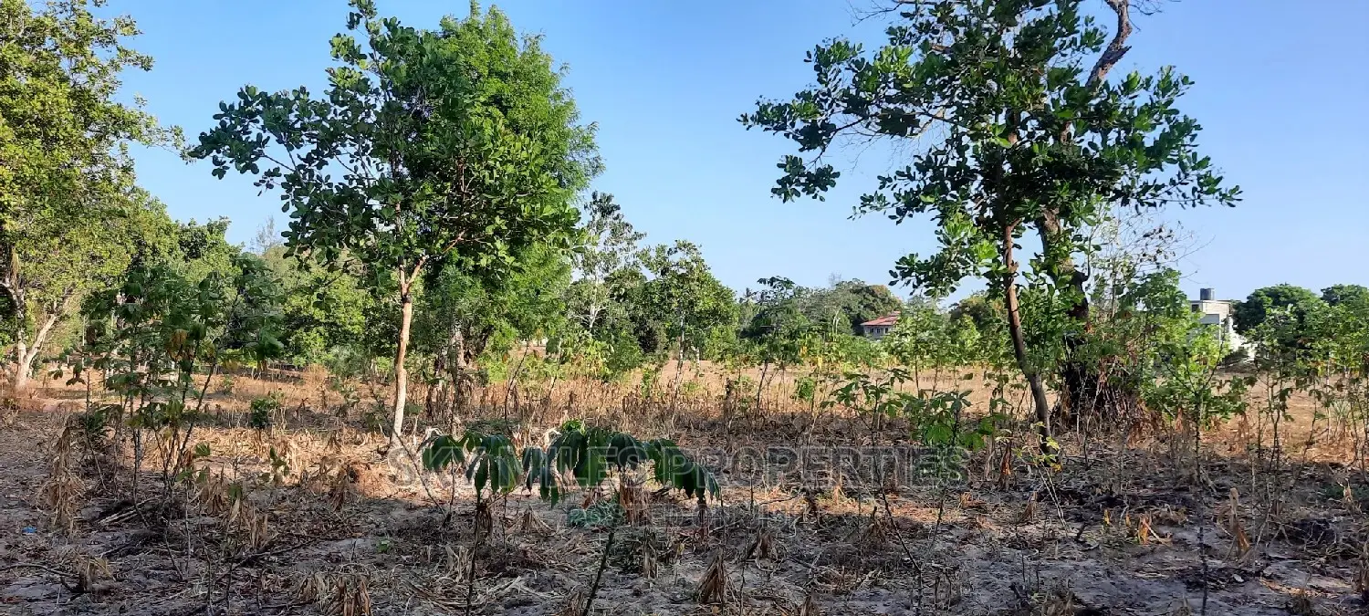 Half Acre on Sale Mtwapa
