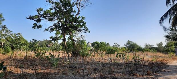 Half Acre on Sale Mtwapa - thumbnail 9