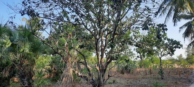 Half Acre on Sale Mtwapa - thumbnail 6