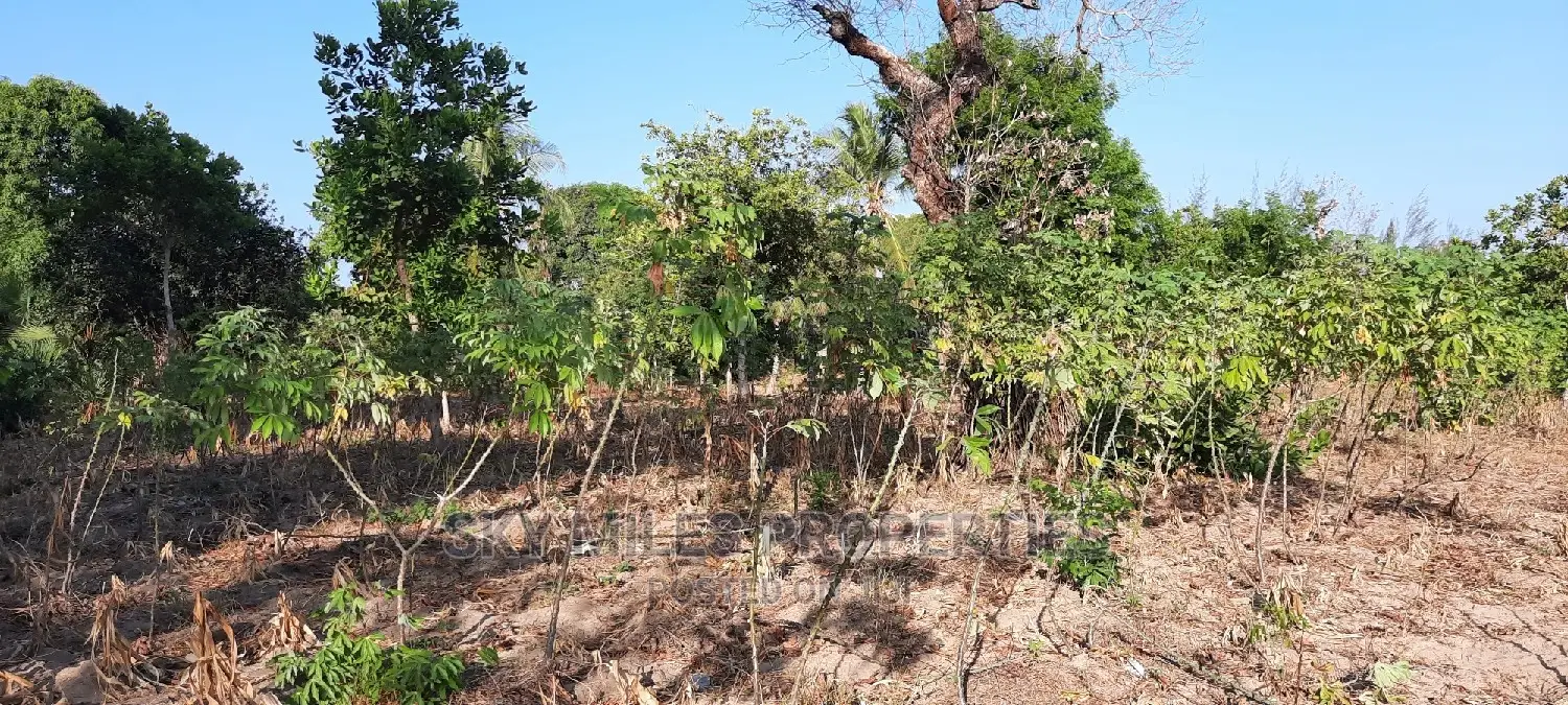 Half Acre on Sale Mtwapa