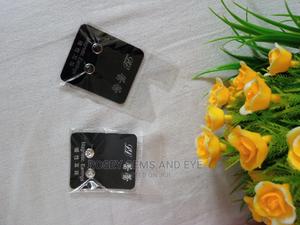 Magnetic Earings Studs - main view