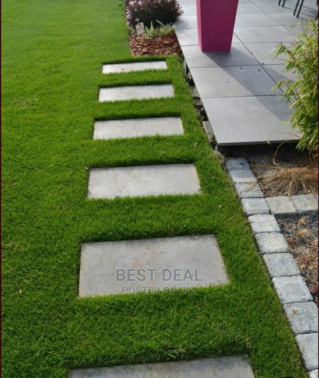 Artificial Grass Carpet - main view