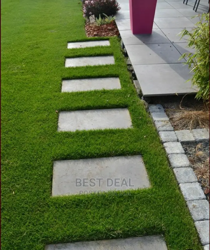 Artificial Grass Carpet