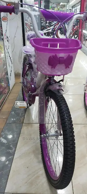 Speed King Size 20 Bike