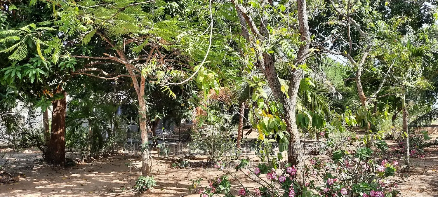Creekside Beach Plot on Sale Mtwapa