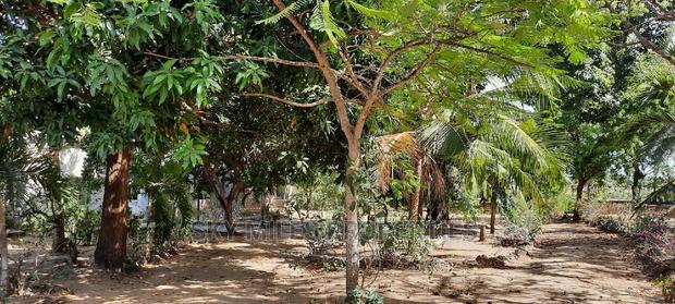 Creekside Beach Plot on Sale Mtwapa - thumbnail 14
