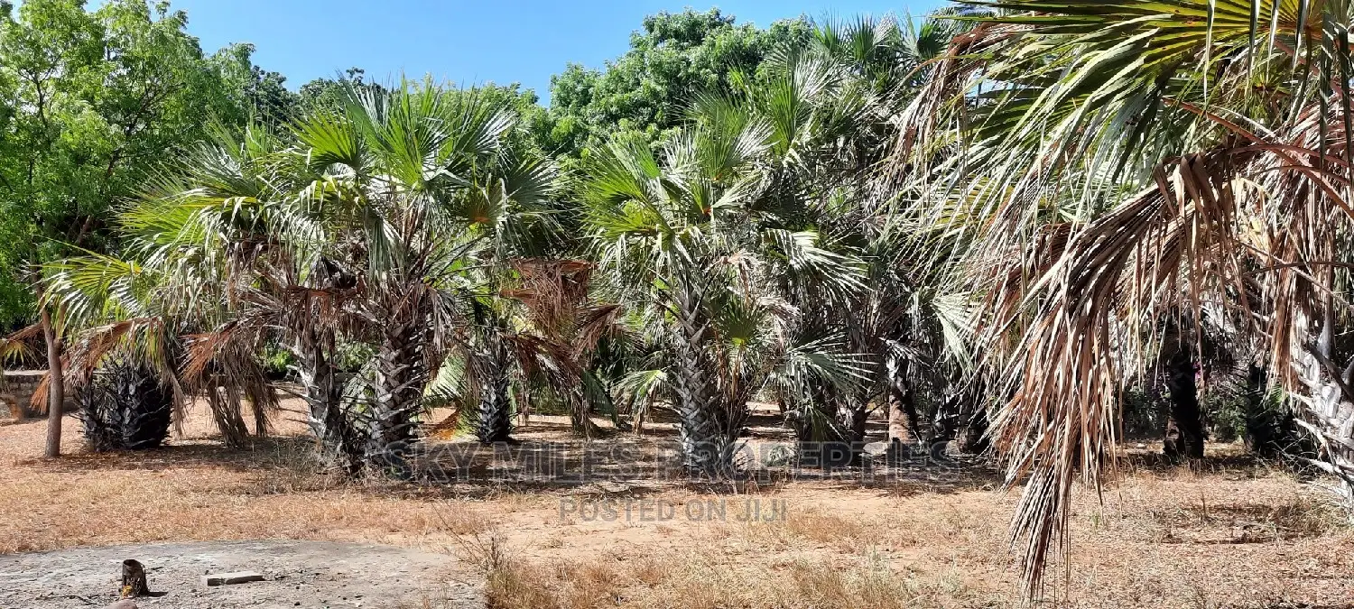 Creekside Beach Plot on Sale Mtwapa