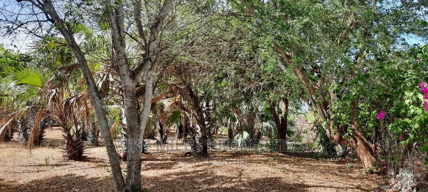 Creekside Beach Plot on Sale Mtwapa