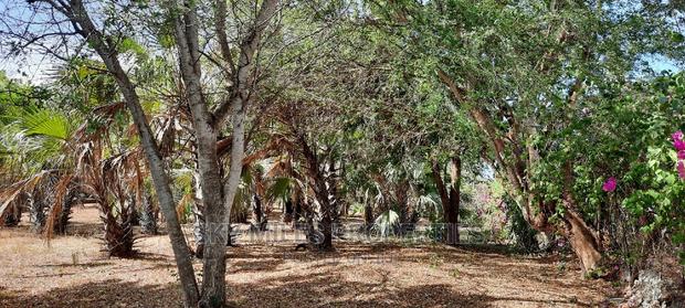 Creekside Beach Plot on Sale Mtwapa - thumbnail 18