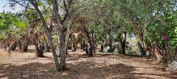 Creekside Beach Plot on Sale Mtwapa - thumbnail 20