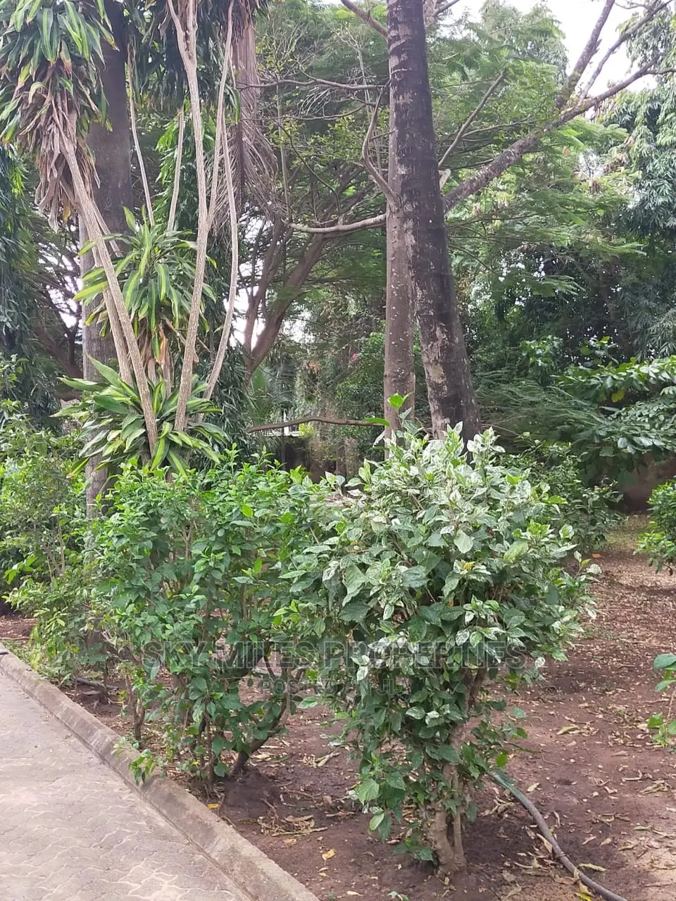 Mansion on Sale Beach Road Nyali
