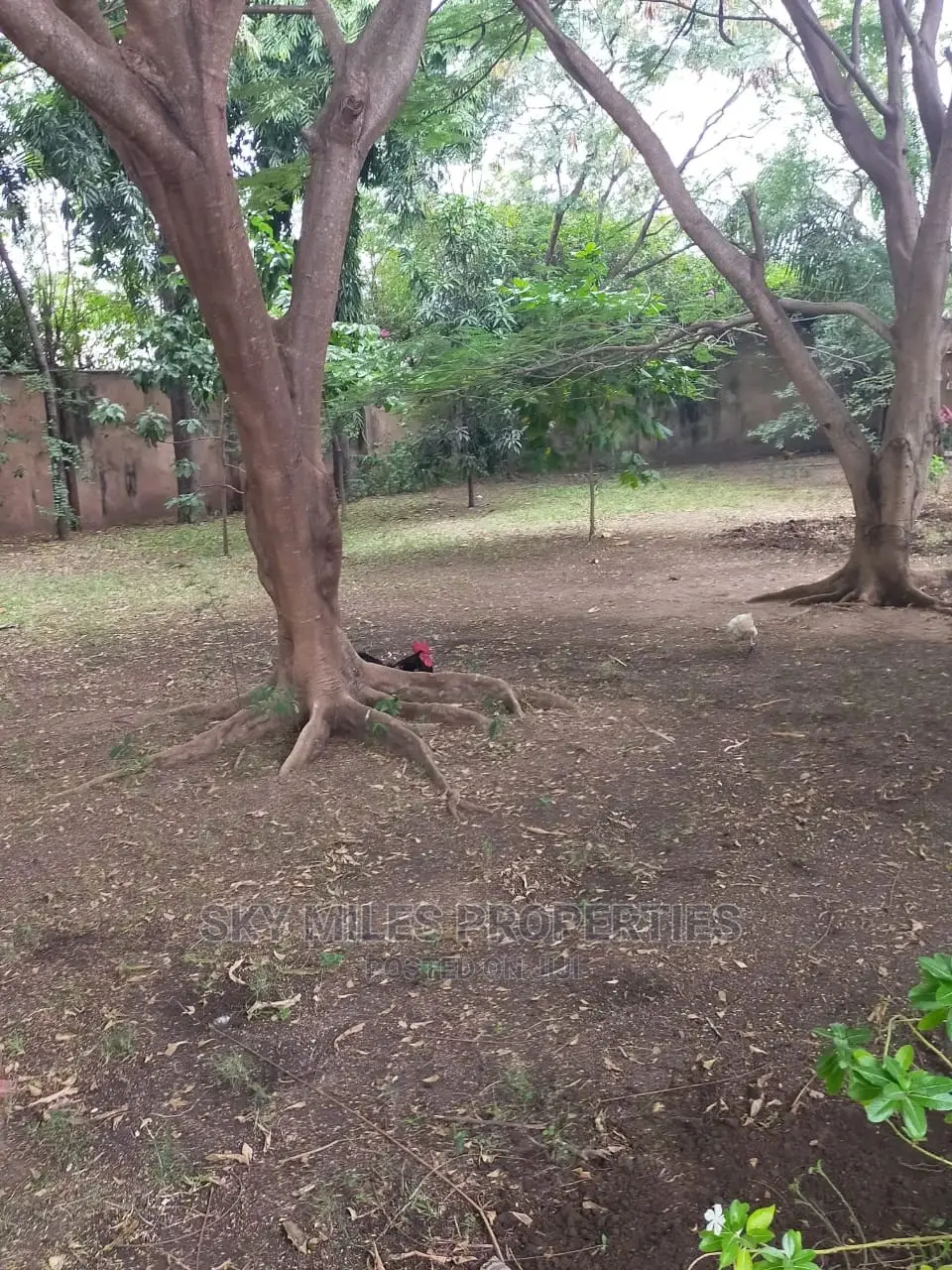 Mansion on Sale Beach Road Nyali