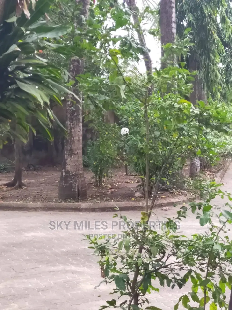 Mansion on Sale Beach Road Nyali