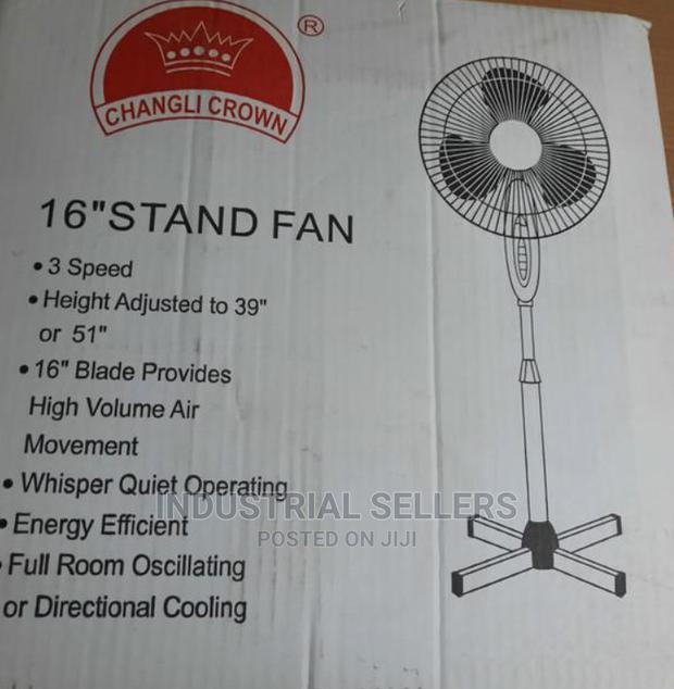 Good Standing Fan