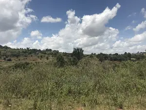 10 Acre Virgin Land Mua Hills
