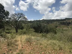 10 Acre Virgin Land Mua Hills