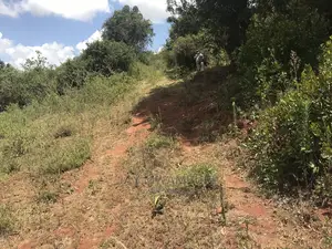 10 Acre Virgin Land Mua Hills