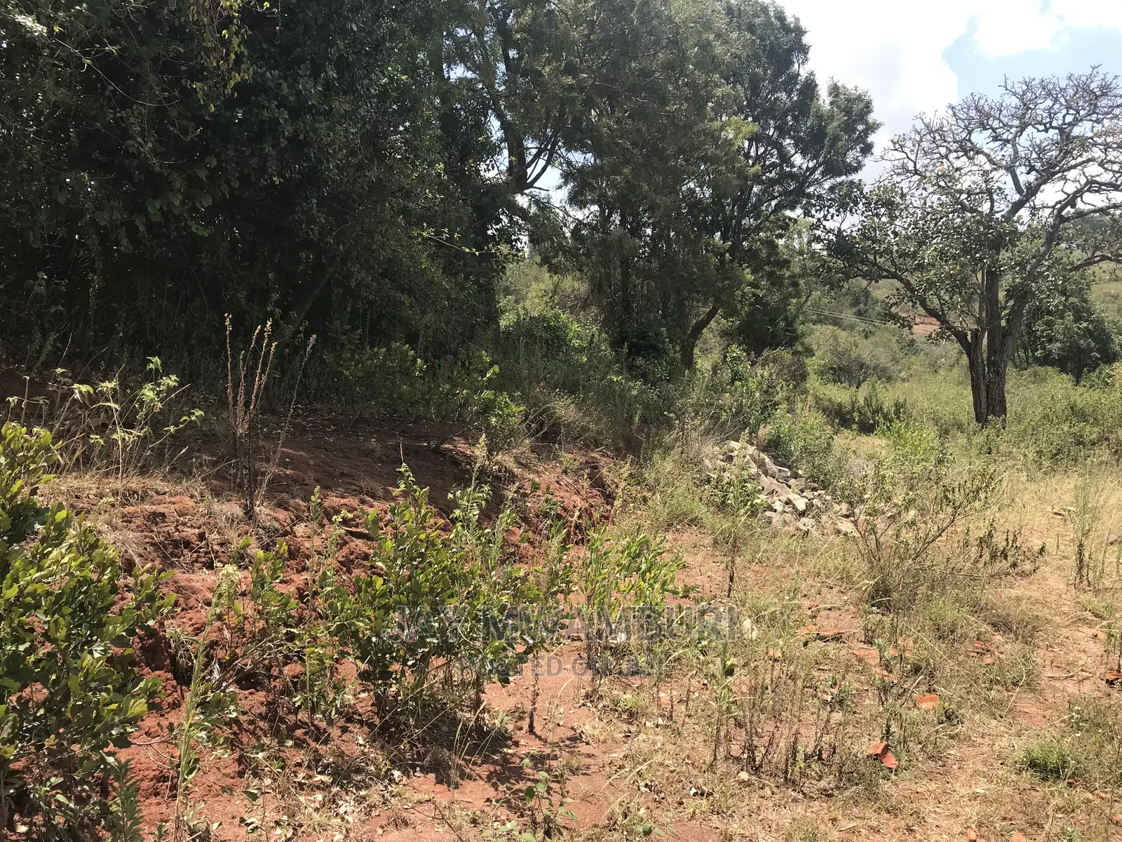 10 Acre Virgin Land Mua Hills