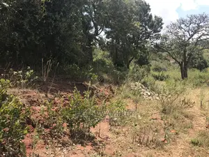 10 Acre Virgin Land Mua Hills