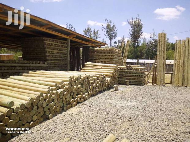 Treated Fencing / Electricity Power Poles