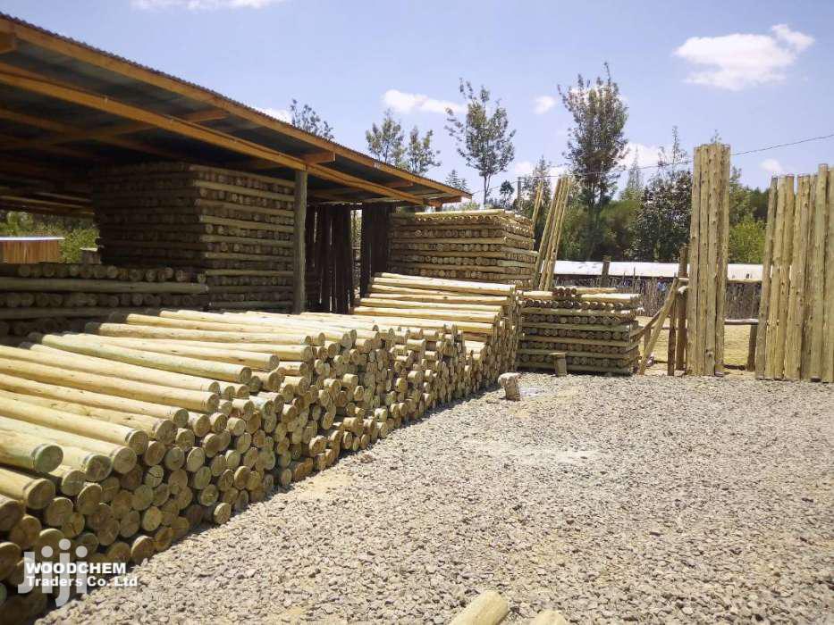 Treated Fencing / Electricity Power Poles