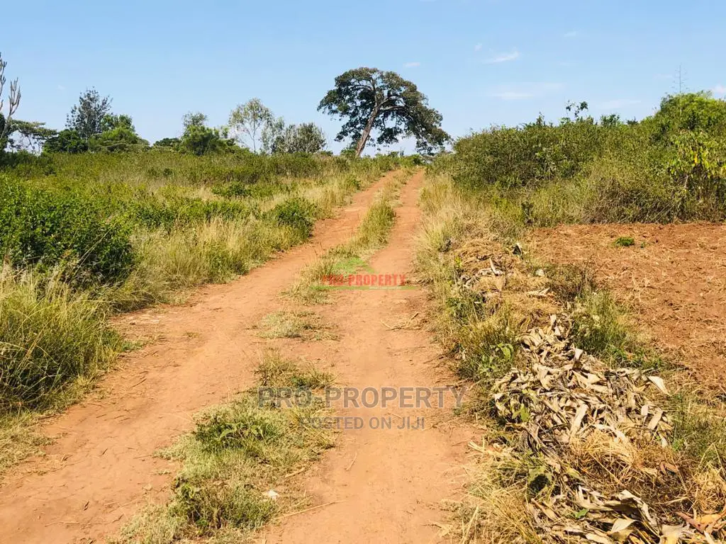Prime Residential Plots for Sale in Thika, Gatuanyaga.