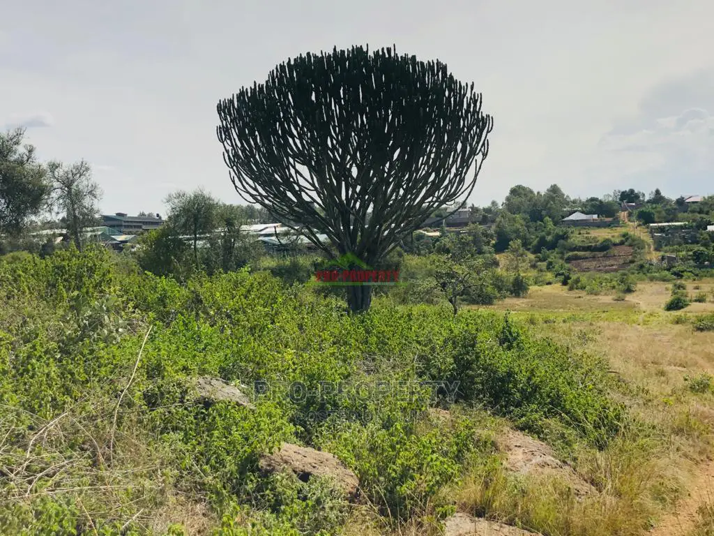Prime Residential Plots for Sale in Thika, Gatuanyaga.