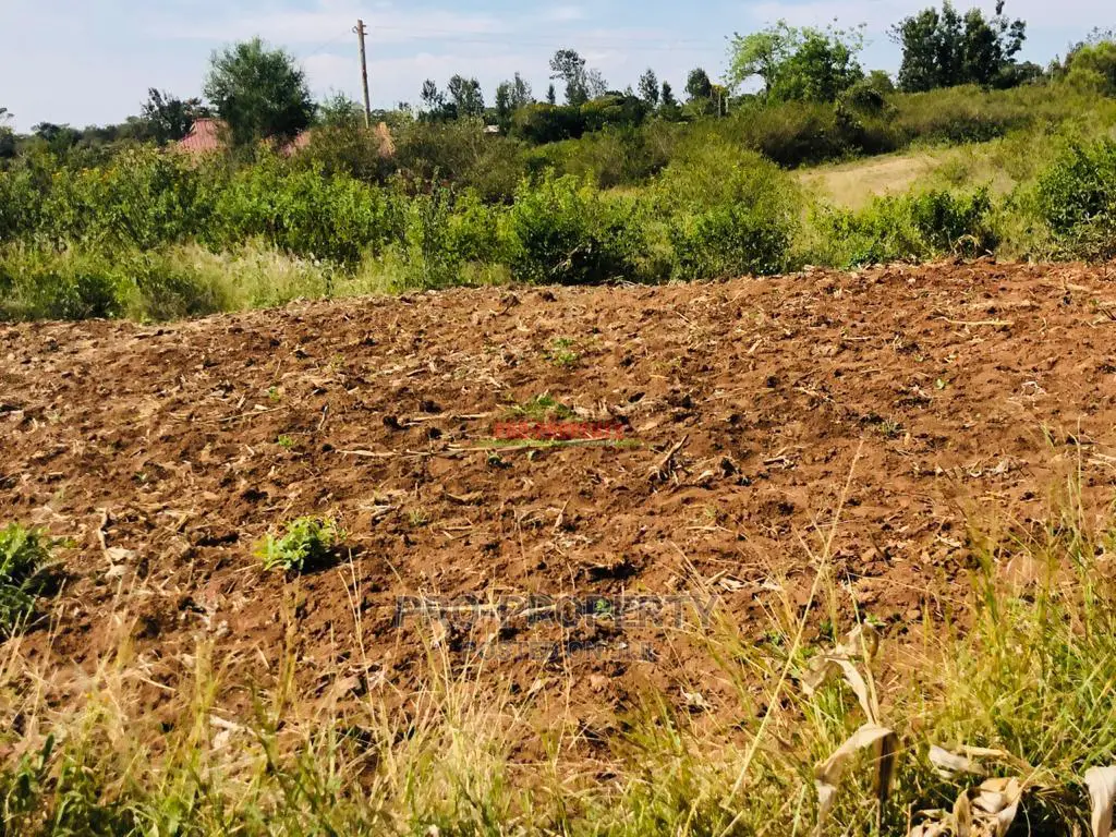 Prime Residential Plots for Sale in Thika, Gatuanyaga.